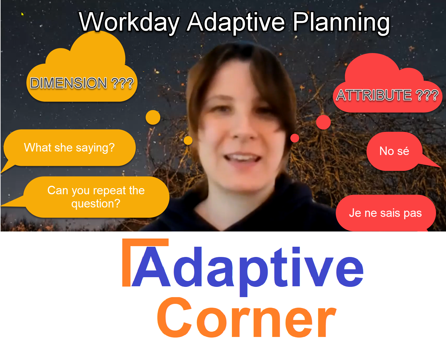 workday-adaptive-planning-dimensions-vs-attributes-how-to-report-on